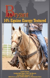 14-Equine-Energy-Texture