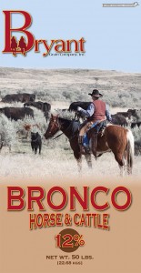 Bronco-HorseBag