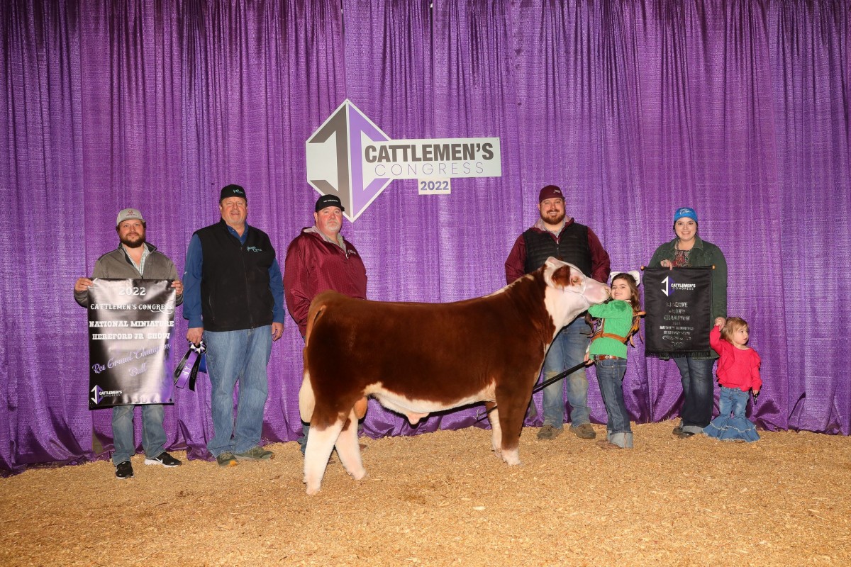 Cattle Success Bryant Grain Company Aledo, Texas